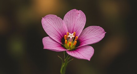 Photorealistic Image of a Flower Bursting with Natural Beauty