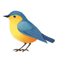 Obraz premium Blue and Yellow Bird