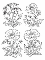 Tansy line art abstract flower sketch.eps