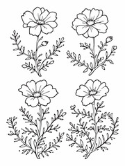 Tansy line art simple floral illustration.eps