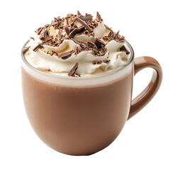 Cup of hot chocolate topped with whipped cream