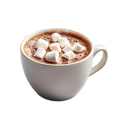 Cup of hot chocolate topped with whipped cream