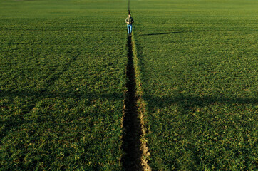 Farmer standing in wheat field examining crop.
