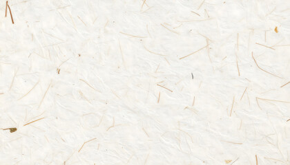 Fototapeta premium ベージュの和紙