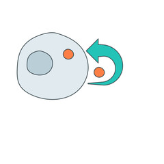 Signaling and target cell