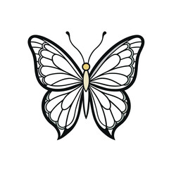 butterfly on white background