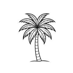 Flat Palm Tree line art Icon  Island Nature Graphic