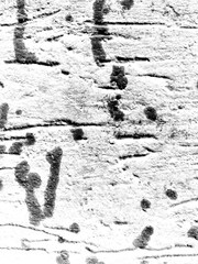 Abstract grunge black and white distressed texture overlay effect design element, noise background