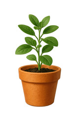 Fototapeta premium Small plant pot on transparent background