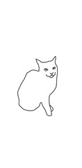 cat stared meme