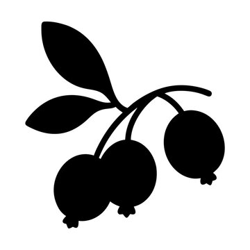 black berries on branch clip art preview