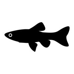 Obraz premium endler s livebearer fish vector silhouette icon, black and white illustration of fish.