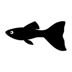 guppy fish vector silhouette icon, black and white illustration of fish.