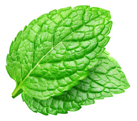 Mint leaves isolated on white clipping path