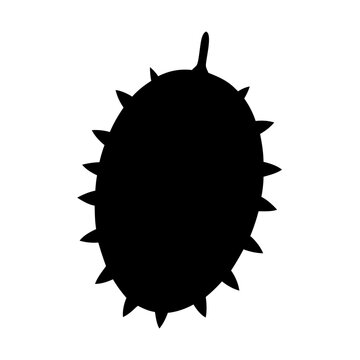 recommend clip art: kiwano horned melon vector silhouette icon, black and white illustration of fruits.