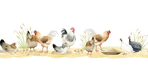 Watercolor roosters, chicken hens with baby chicks and guineafowls seamless isolated border. Poultry yard birds for farm animals horizontal banner designs. Realistic fowls feeding on sand ground