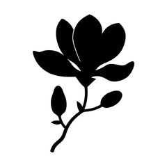 Black and white illustration of magnolia , flower silhouette vector designs. © Tanjila