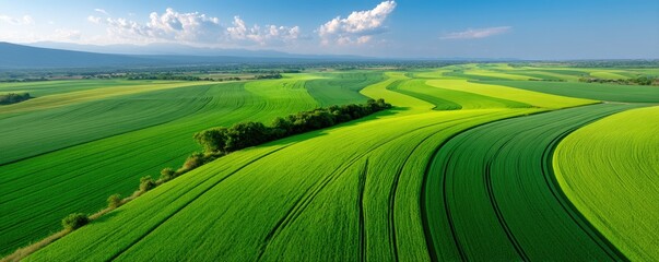 Obraz premium Sustainability Sustainable Agriculture Food Security Vibrant patchwork of green fields under a blue sky with clouds.