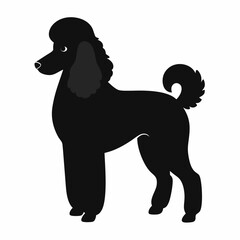 Elegant Black Poodle Silhouette