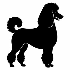 Elegant Black Poodle Silhouette