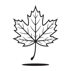 maple leaf outline black and white simple minimalist botanical natural vector illustration