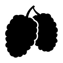 mulberry vector silhouette icon, black and white illustration of fruits.