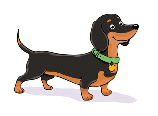 Cartoon Dachshund with green collar, friendly expression