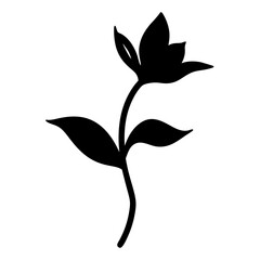 Black and white illustration of toad lily , flower silhouette vector designs.