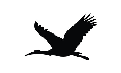 Flying African woolly necked stork bird Silhouette Design  And Vector Illustration. 