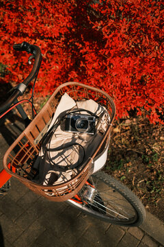 Bicycle with a basket and camera during Momiji season in Japan