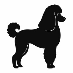 Elegant Black Poodle Silhouette