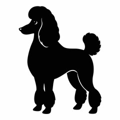 Elegant Black Poodle Silhouette