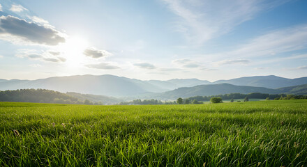 Fototapeta premium Lush Green Field Under Bright Sky and Mountainous Landscape