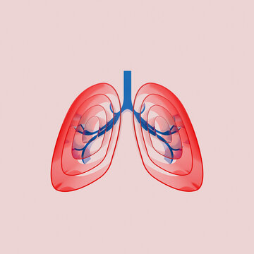 3D rendering of symbolic lungs representing health and anatomy