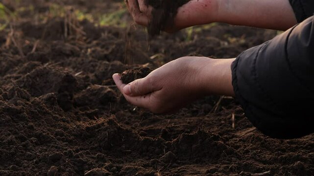 Hands gently sift dark, fertile soil over a plowed field under a soft light, illustrating soil examination for agriculture or gardening.