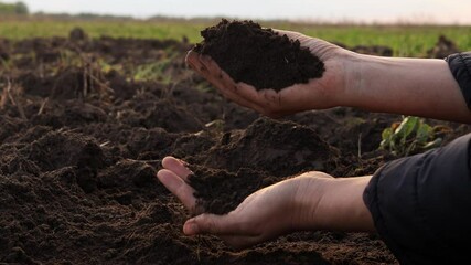 A person's hands hold and examine a clump of dark, fertile soil in a plowed field, likely assessing its quality for planting.