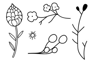 Set of five natural icons isolated on  white background. In  black and white version of  plant. Environment, nature, flora. Decoration for postcards, posters, business cards, invitations.