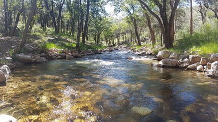 Clear stream flowing through a lush forest