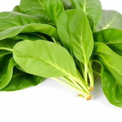 Obraz premium Leafy vegetable Spinach in isolated white background. Scientific name - Spinacia oleracea.Its leaves are a common edible vegetable consumed either fresh, or after storage using preservation techniques