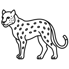 Fototapeta premium vector illustration of a leopard