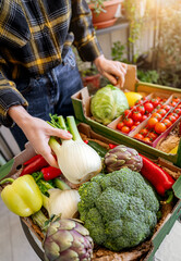 Female person unpacking farm-grown vegetables