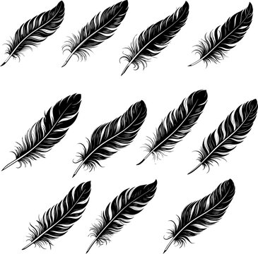Bird Feather Silhouette Vector Illustration &ndash; Elegant Black Feather PNG Clipart for Design and Craft
