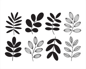 set of vector floral elements.
