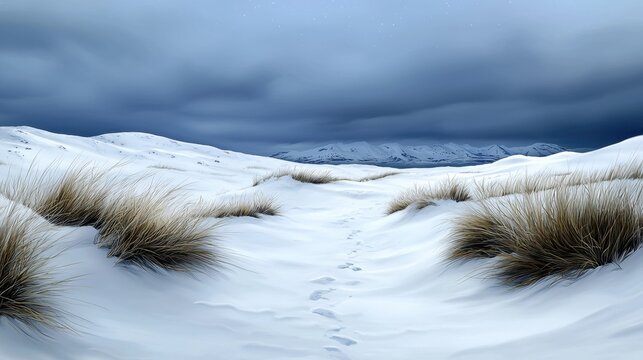 a painting of snow covered grass and a trail