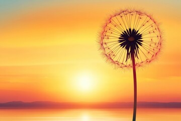 Dandelion at Sunset