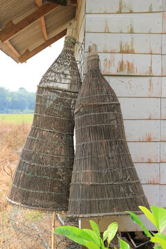 bubu or traditional fish trap made of bamboo.