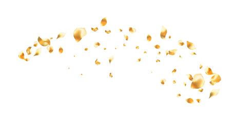 Golden rose petals falling motion , beautiful rose petal greeting card design, Love, romance, floral spring season