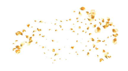 Golden rose petals falling motion , beautiful rose petal greeting card design, Love, romance, floral spring season