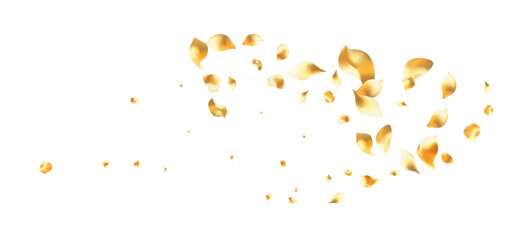 Golden rose petals falling motion , beautiful rose petal greeting card design, Love, romance, floral spring season © Sompong