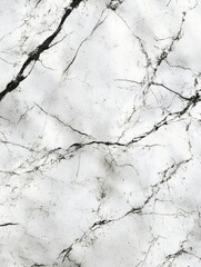 Obraz premium White Marble Texture with Gray Veins Close Up